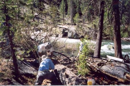 More work on the first large tree.