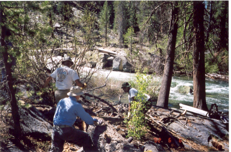 Better version of picture 4.